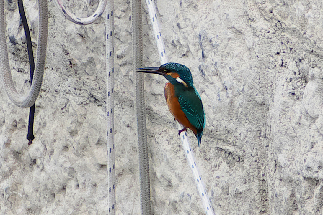 1174_Montenegro_20251001_123252_P1034134