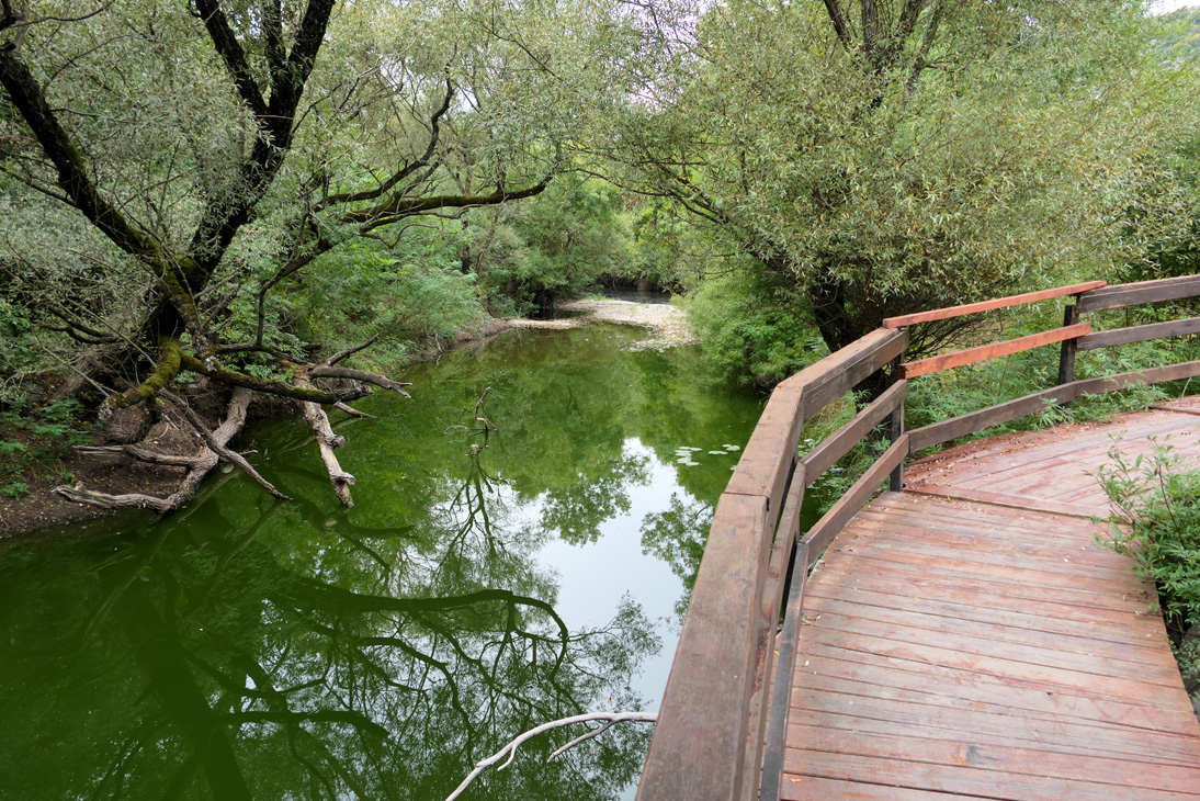 1196_Montenegro_20251001_123933_P1034137