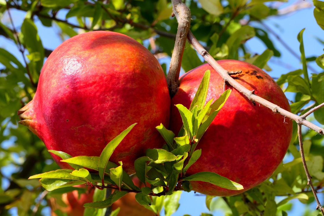 2032_Montenegro_20251012_132435_P1034906