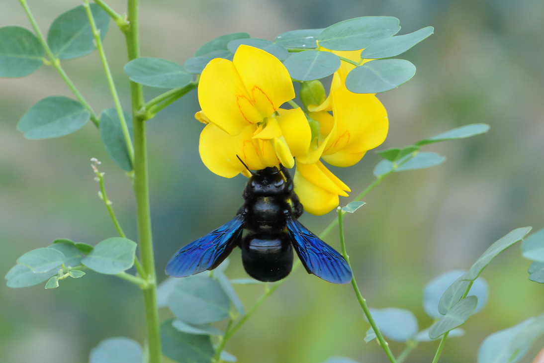 2114_Montenegro_20251013_121844_P1034990