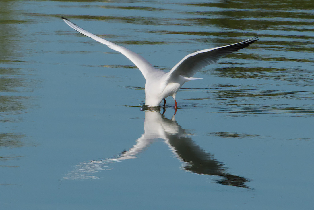 2128_Montenegro_20251013_135402_P1035019