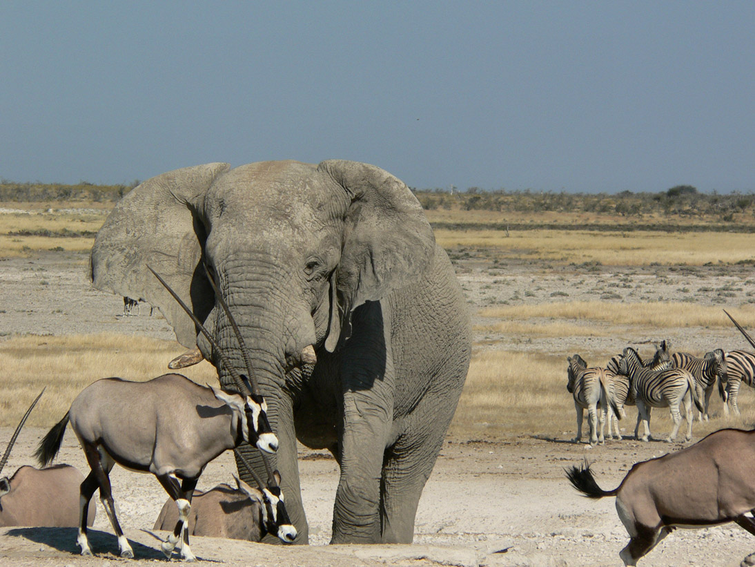 0251_0249_Namibia-050512-143944_P1010447