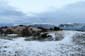 1039_Norwegen_2021_11_14_134415_P1090308