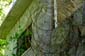 1848_Seychellen_2024_05_11_142015_P1150868