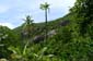 2052_Seychellen_2024_05_13_130553_P1160071