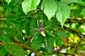 2053_Seychellen_2024_05_13_140416_P1160080