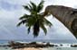 2202_Seychellen_2024_05_15_140804_P1160226