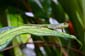 2292_Seychellen_2024_05_16_152007_P1160360
