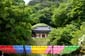 2136_Suedkorea_20250528_134722_P1023087