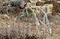 1060_Zypern_2023_09_27_105523_P1140041