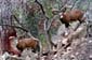 1232_Zypern_2023_10_03_144352_P1140221