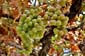 1284_Zypern_2023_10_05_140401_P1140292
