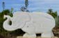 1336_Zypern_2023_10_07_161533_P1140363